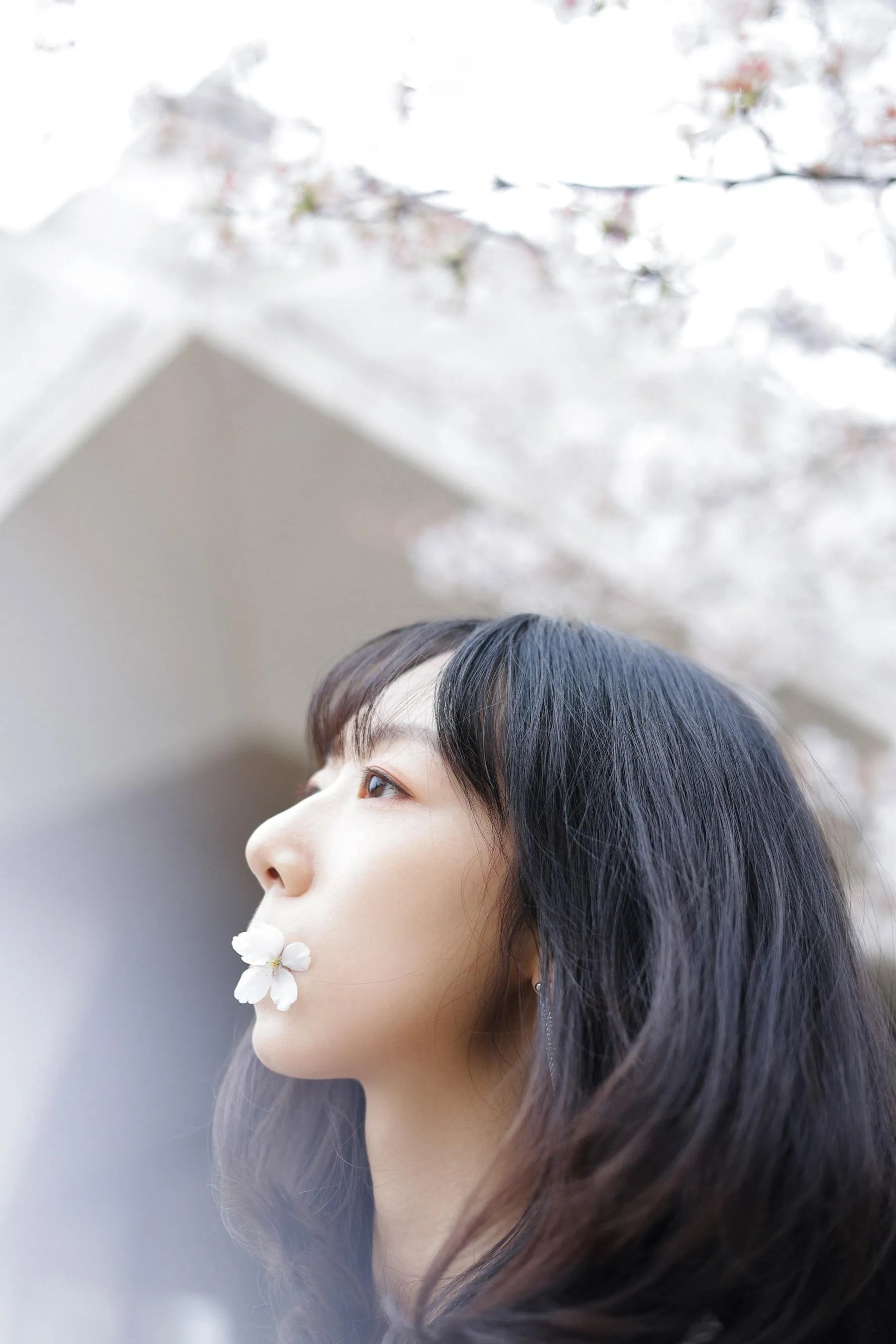 [艺图语] 2022.07.04 白色花语 孟商一 [26P]插图4